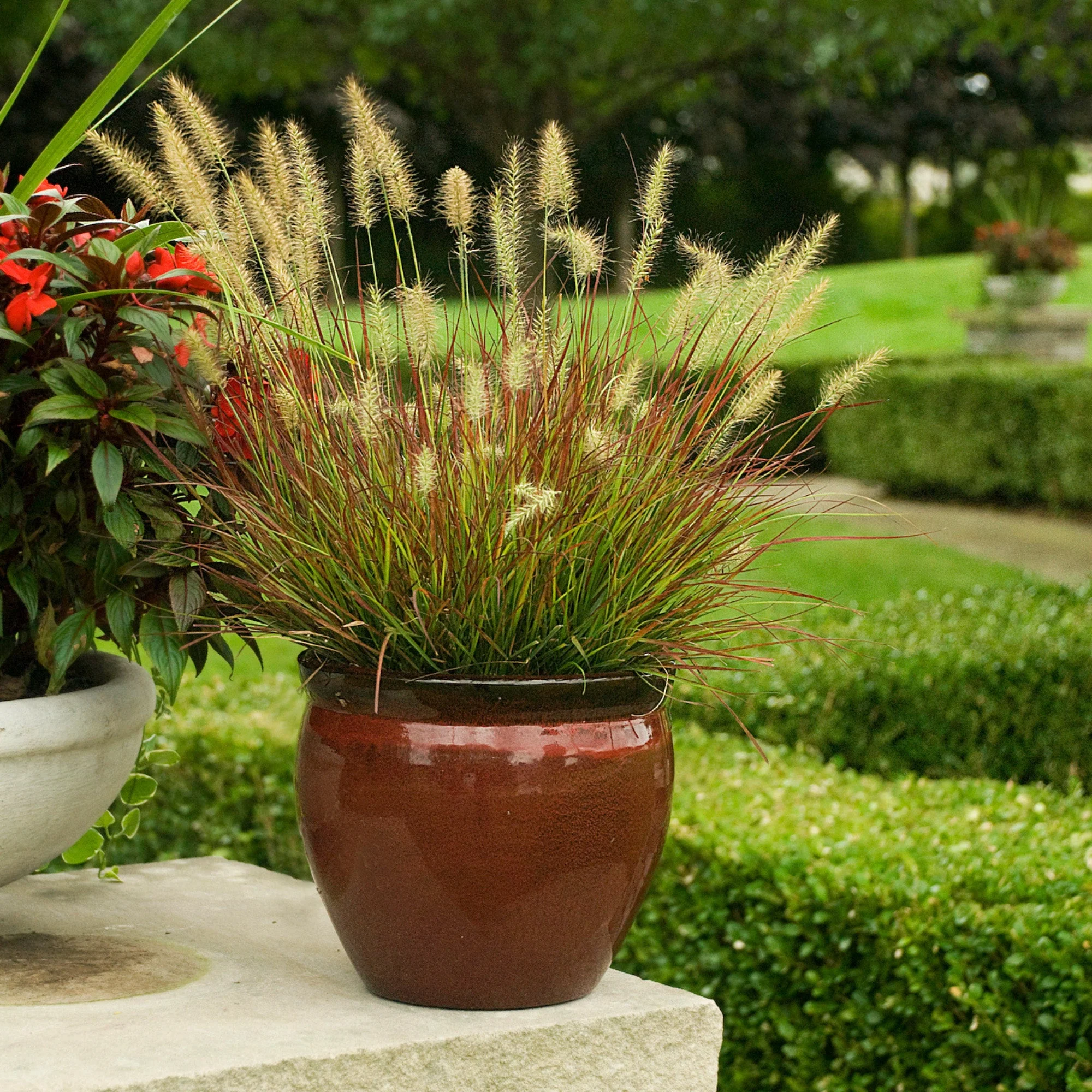 Miniature 1